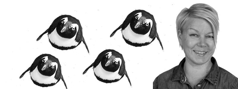 Taru ja pingviinit