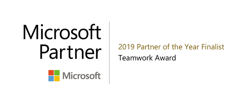 partner of the year 2019
